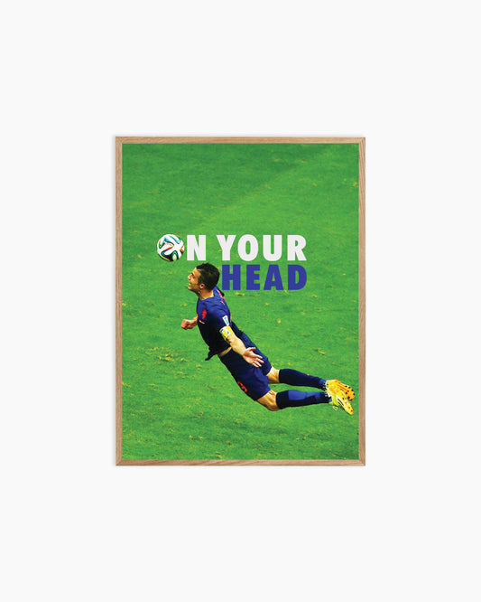 Robin Van Persie Poster Print